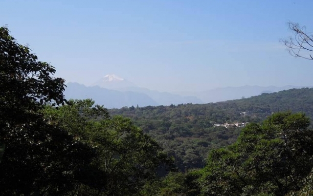 Vistas de los senderos